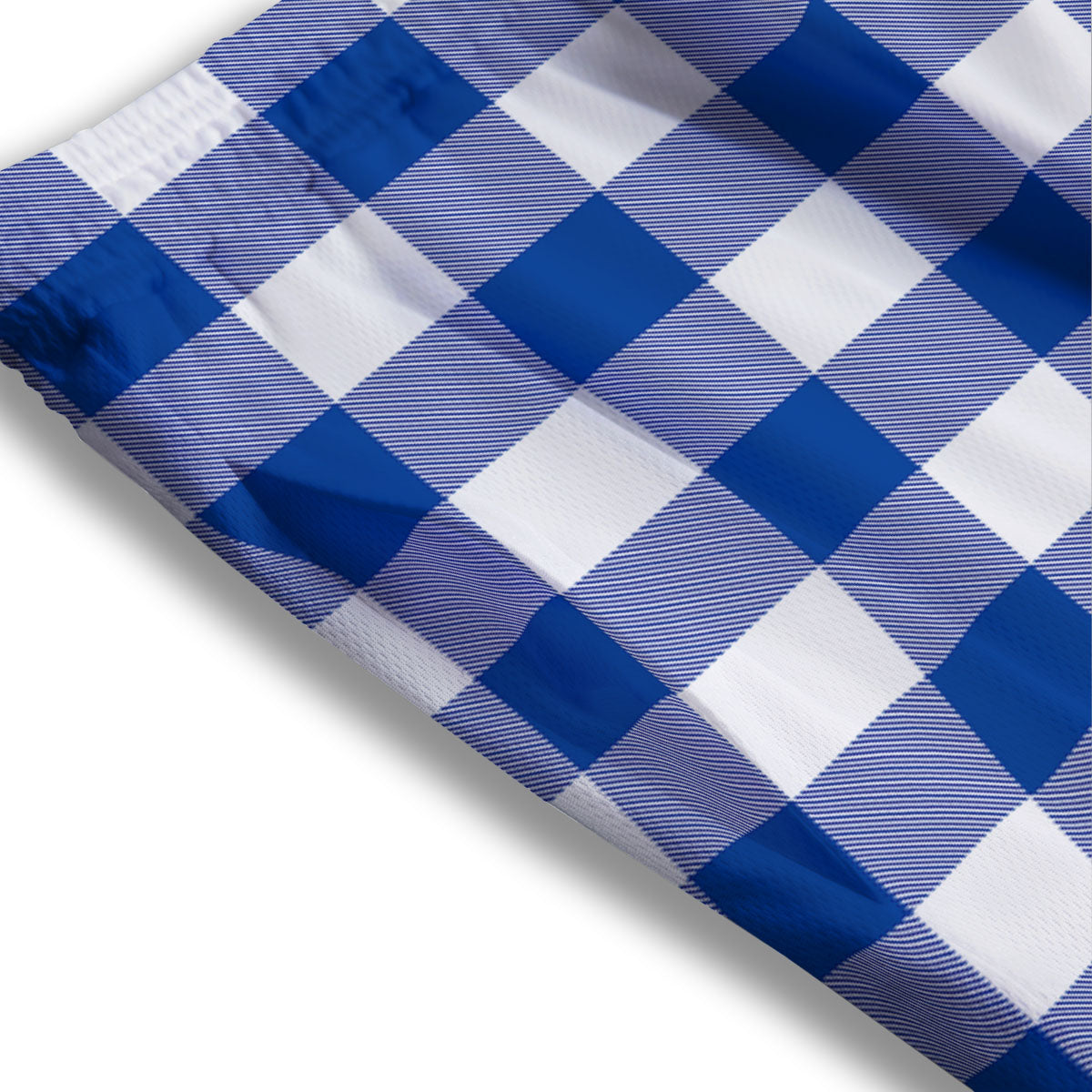 Blue Indigo And White Gingham Print Mesh Shorts