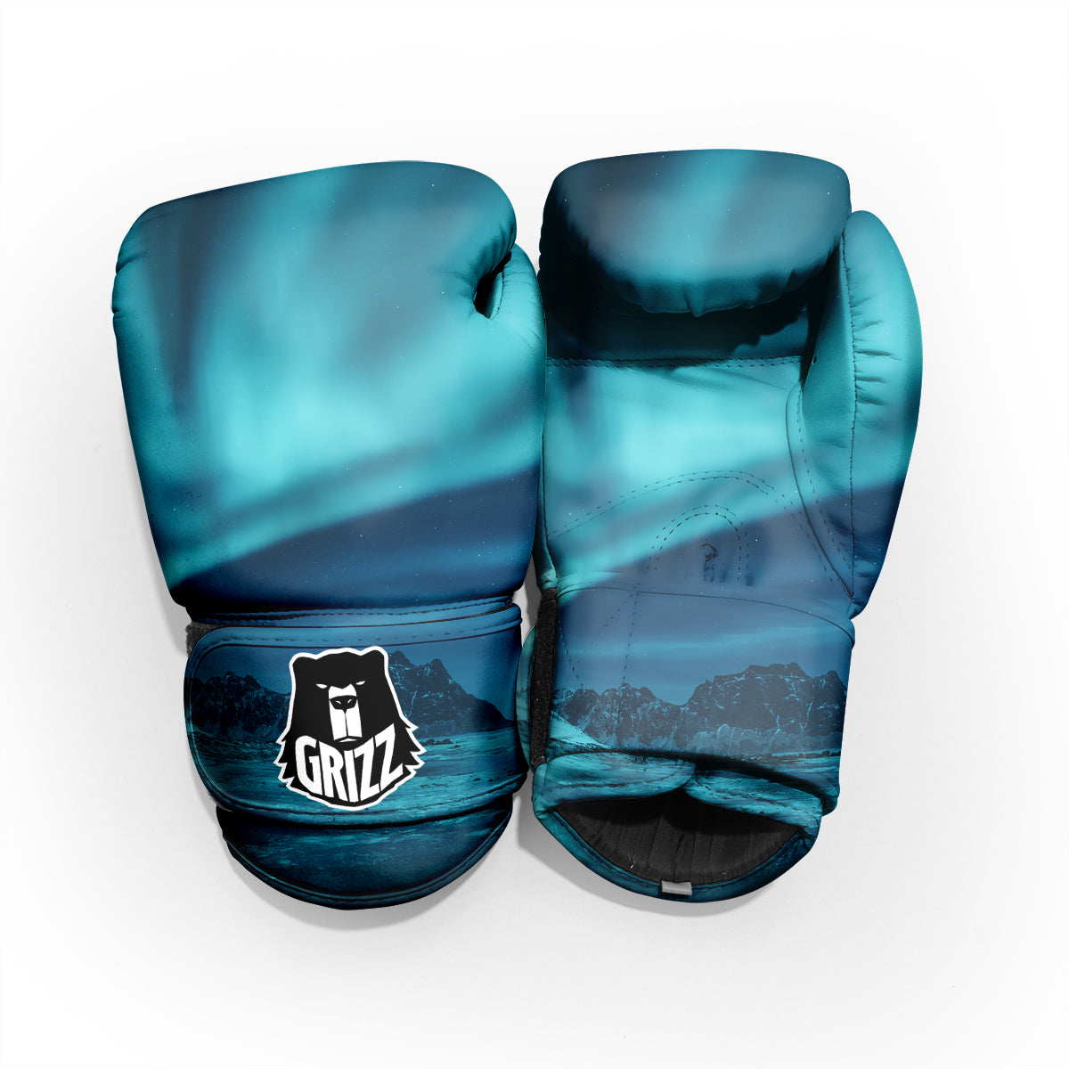 Blue Northern Lights And Mountain Print Pro Boxing Glove