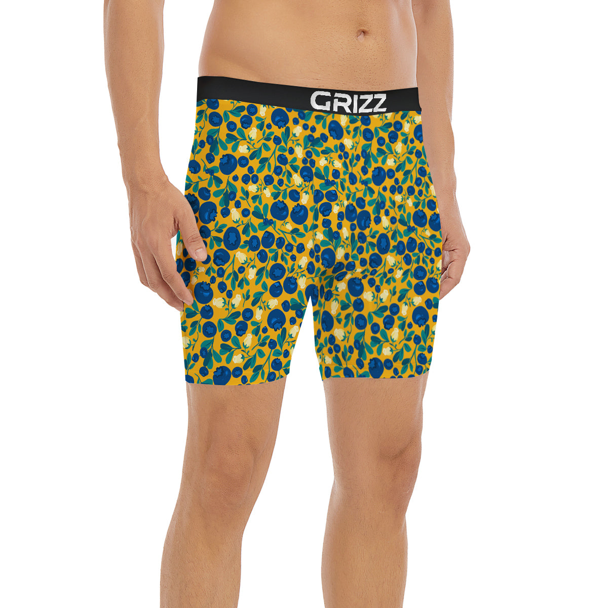 Blueberry Yellow Print Pattern Boxer Briefs-grizzshop