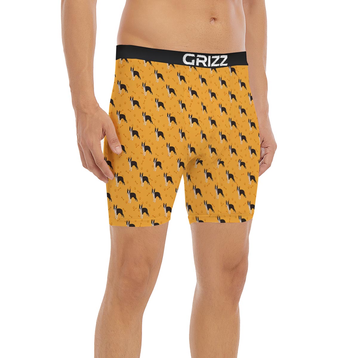 Boston Terrier Cartoon Print Pattern Boxer Briefs-grizzshop