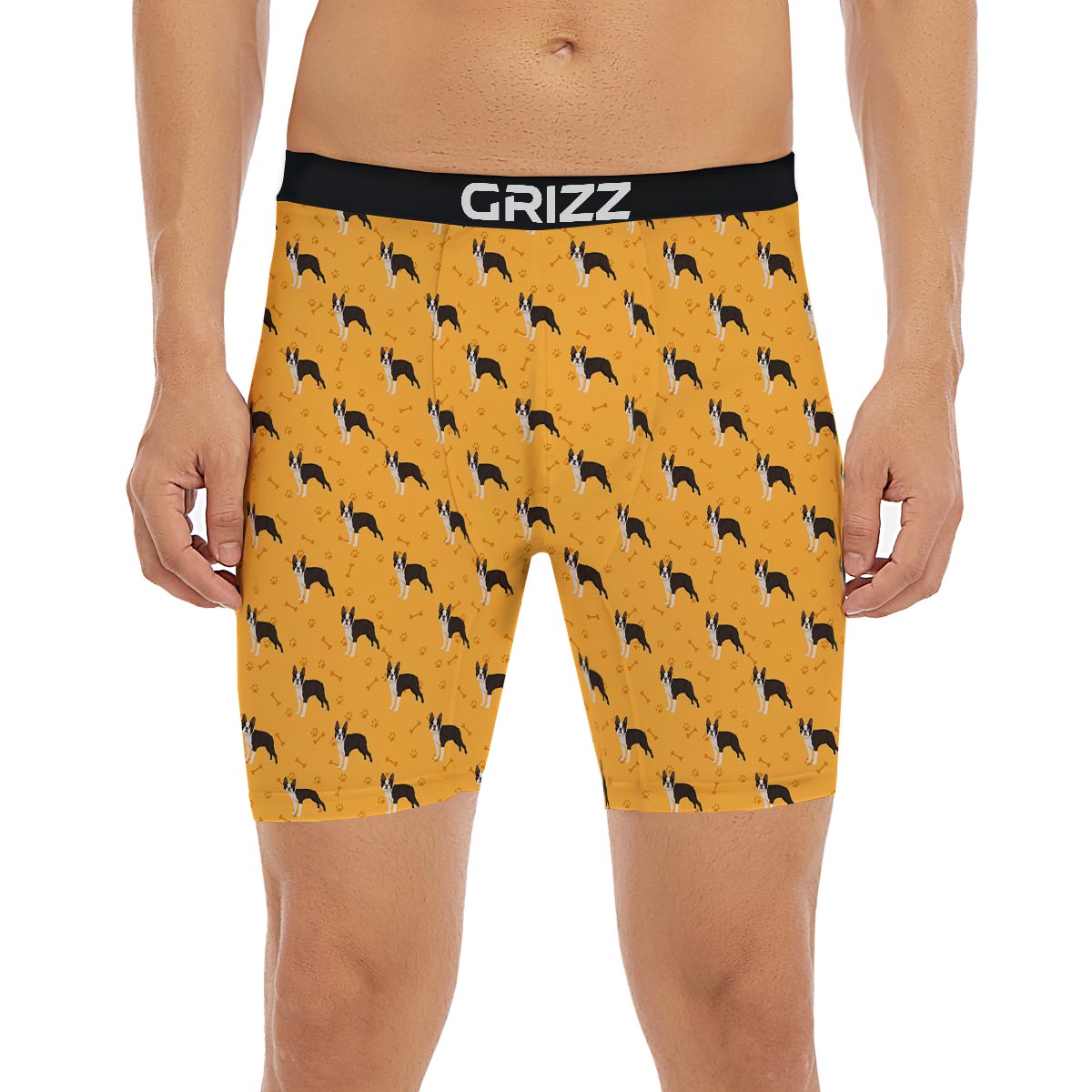 Boston Terrier Cartoon Print Pattern Boxer Briefs-grizzshop