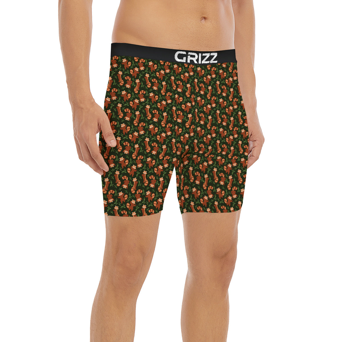 Brown Raccoon Cartoon Cute Print Pattern Boxer Briefs-grizzshop