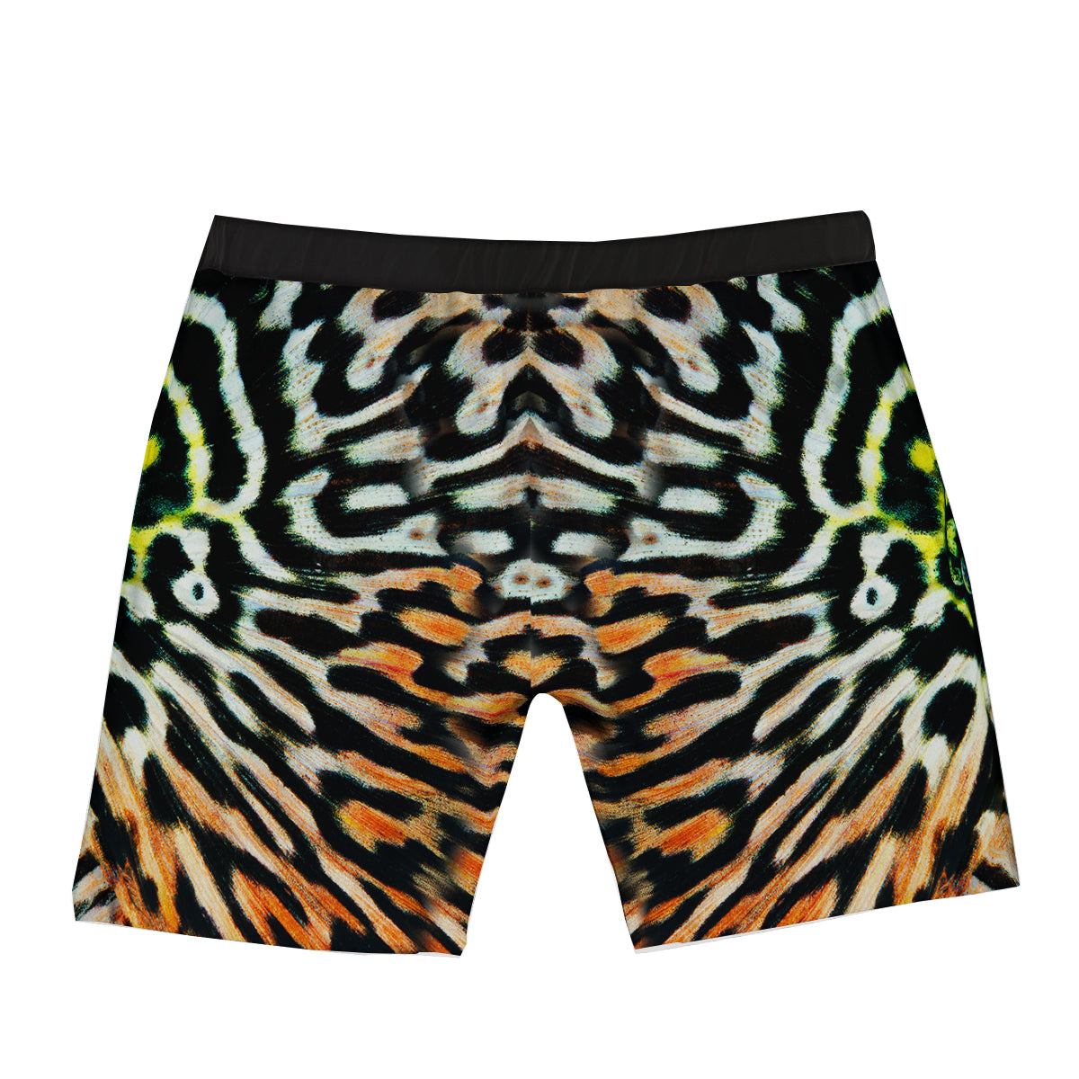 Butterfly Wing Skin Orage Print Boxer Briefs-grizzshop