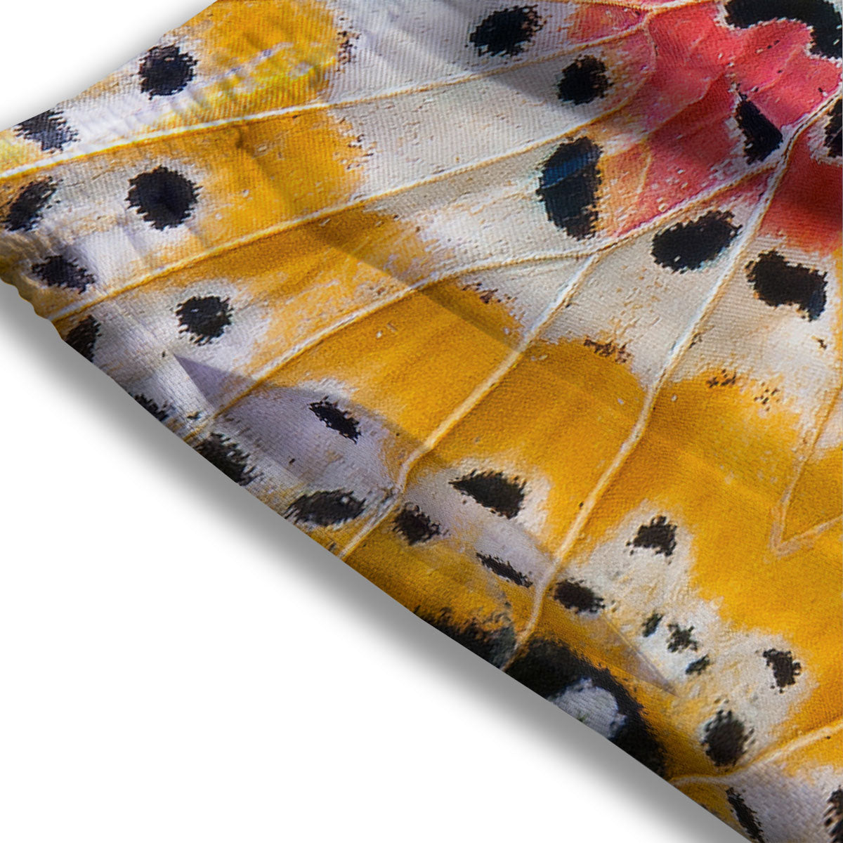 Butterfly Wings Orange Monarch Print Mesh Shorts