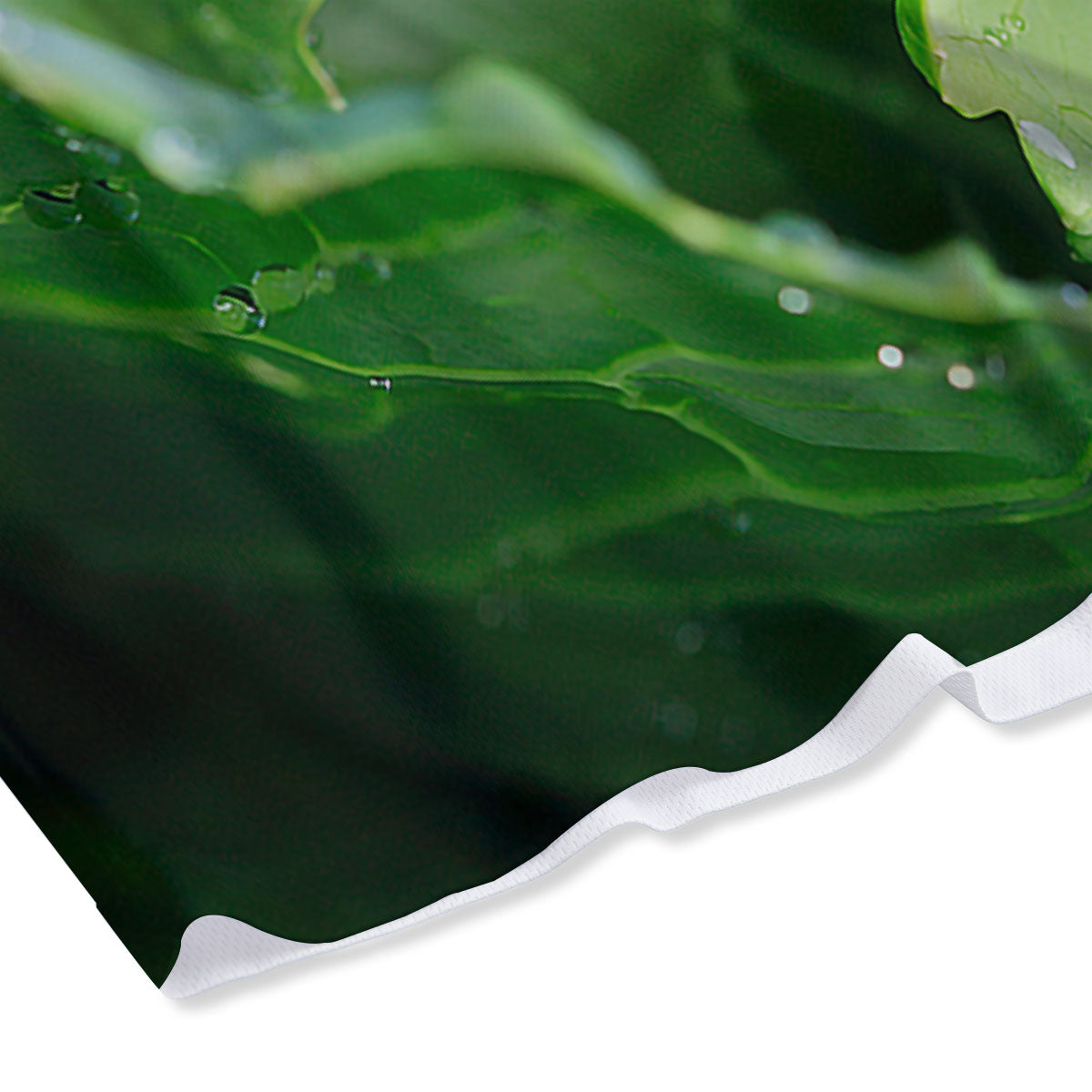Cabbage Fresh Leaf Print Mesh Shorts