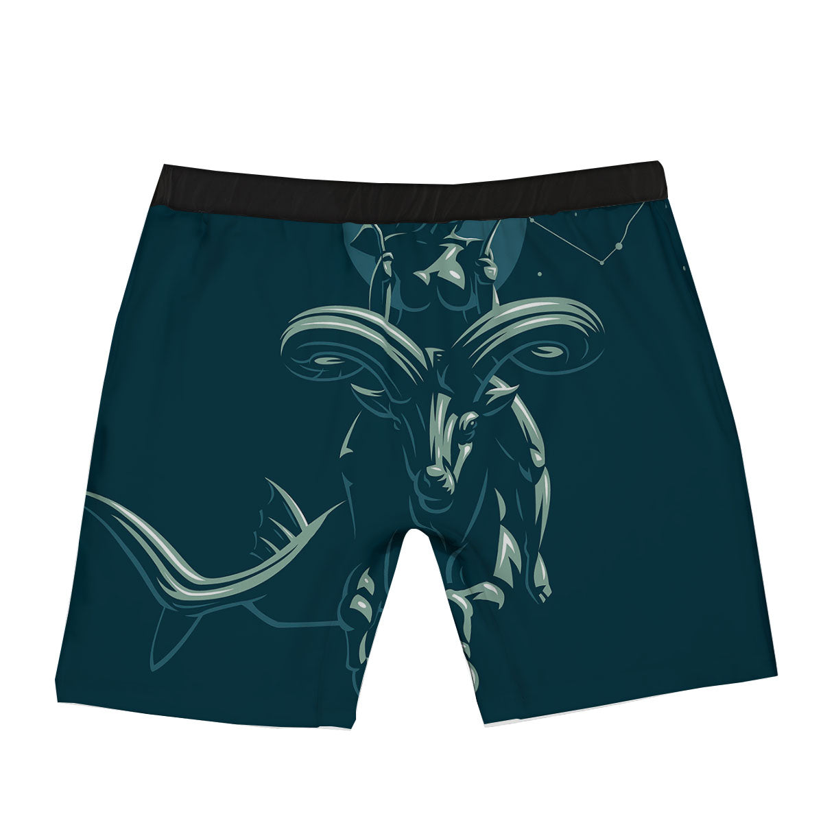 Capricorn Sign Astrology Print Boxer Briefs-grizzshop