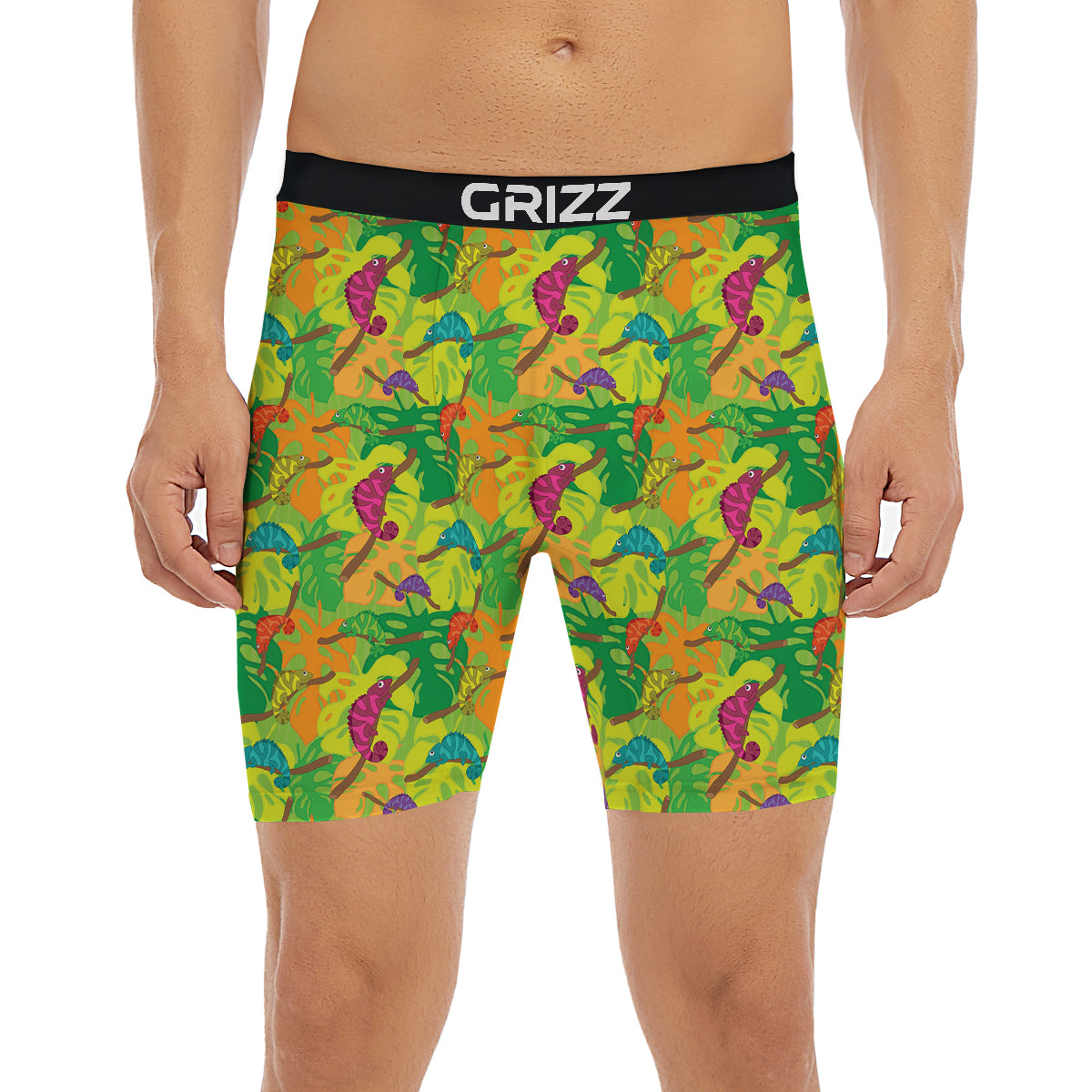 Colorful Chamaleon And Monstera Tropic Leave Print Pattern Boxer Briefs-grizzshop