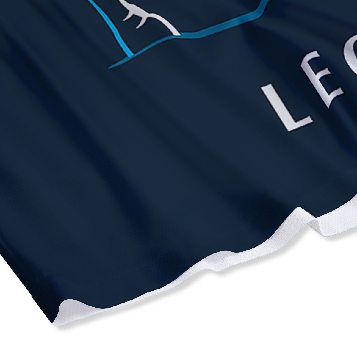 Constellation Leo Print Mesh Shorts