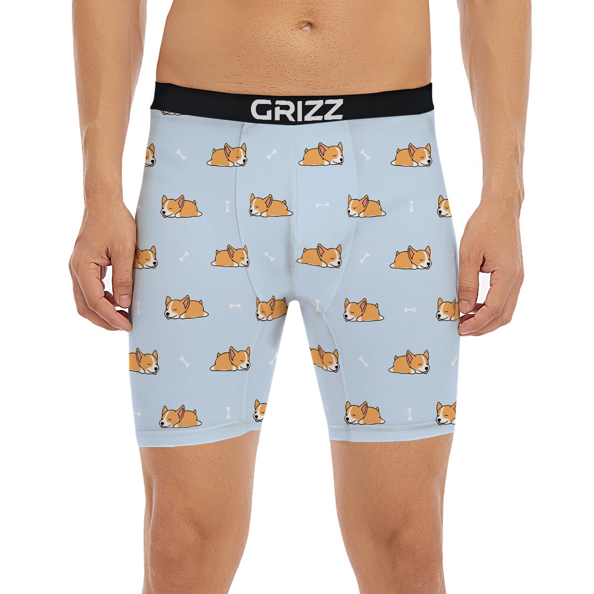 Corgi Sleeping Print Pattern Boxer Briefs-grizzshop