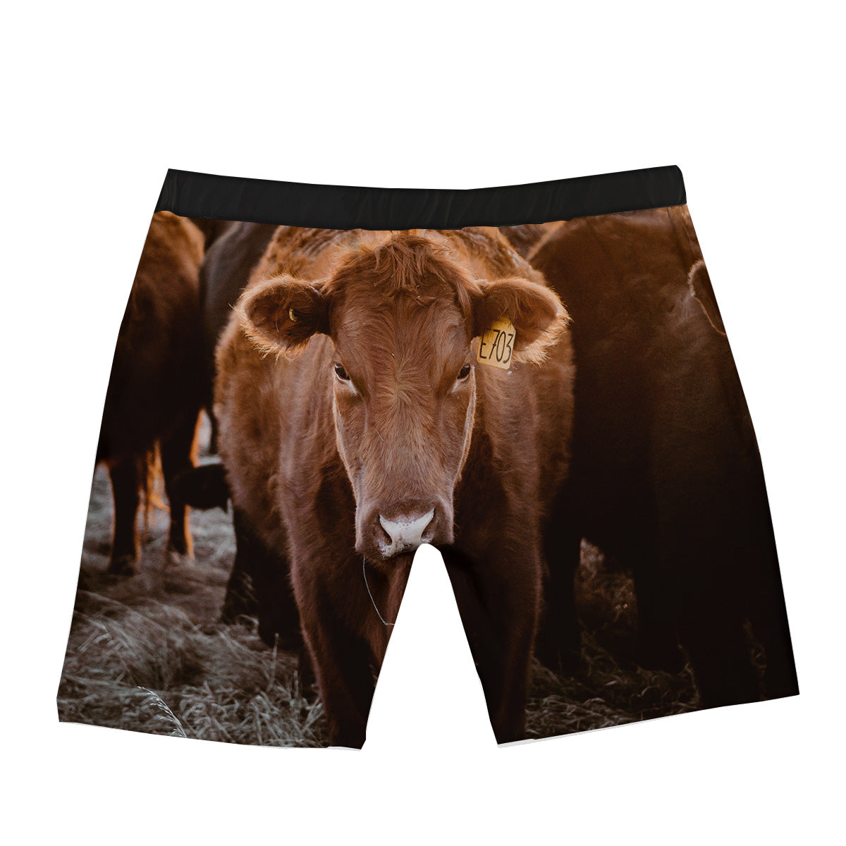 Cow Brown Print Boxer Briefs-grizzshop