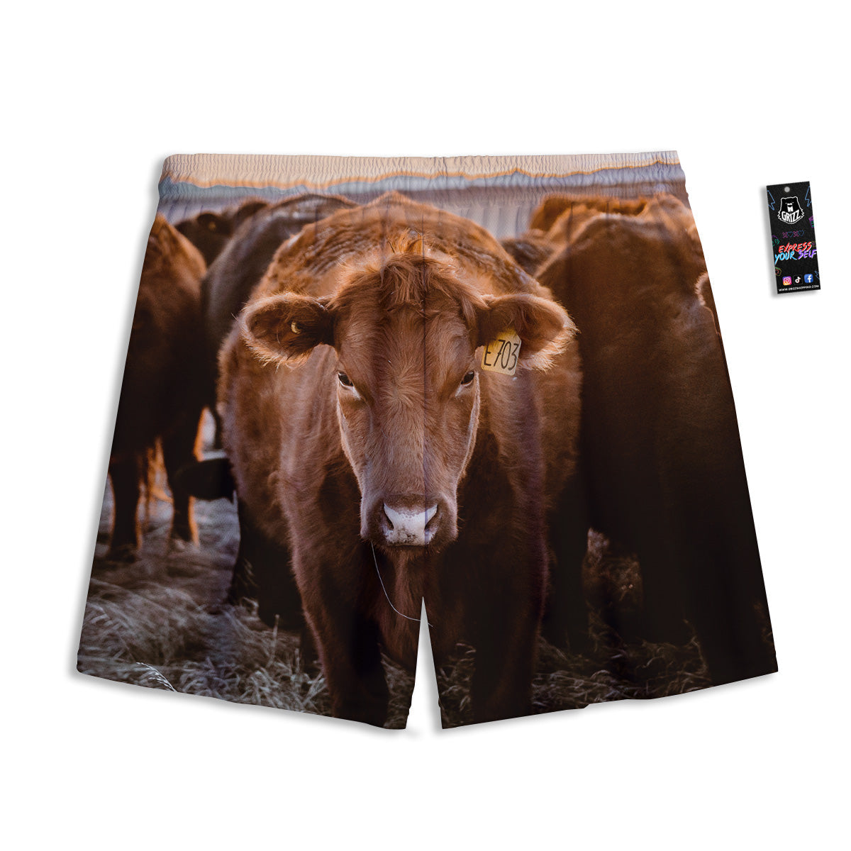 Dragon Embroidery Chinese Print Pattern Mesh Shorts