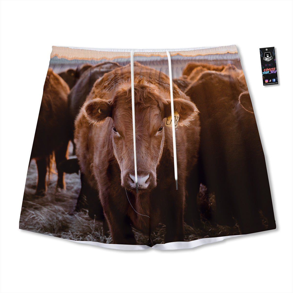 Dragon Embroidery Chinese Print Pattern Mesh Shorts