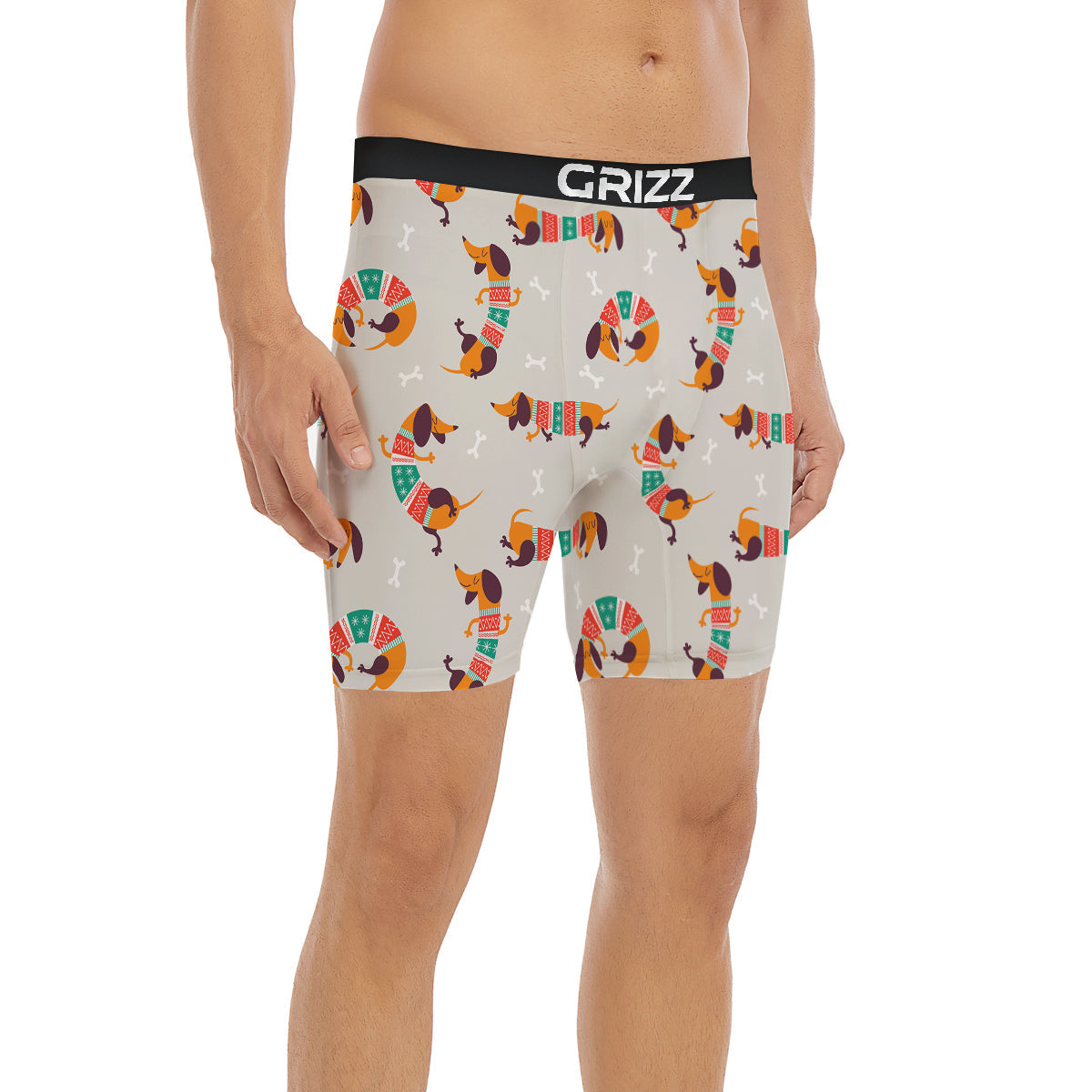 Dachshund Xmas Print Pattern Boxer Briefs-grizzshop