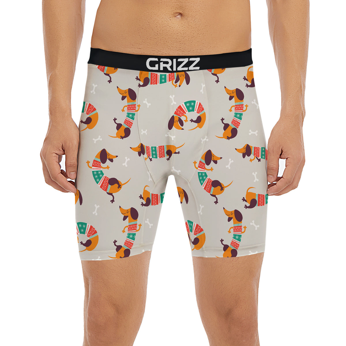 Dachshund Xmas Print Pattern Boxer Briefs-grizzshop