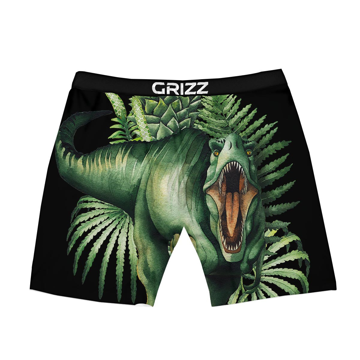 Dinosaur T Rex And Jurassic Plants Print Boxer Briefs-grizzshop