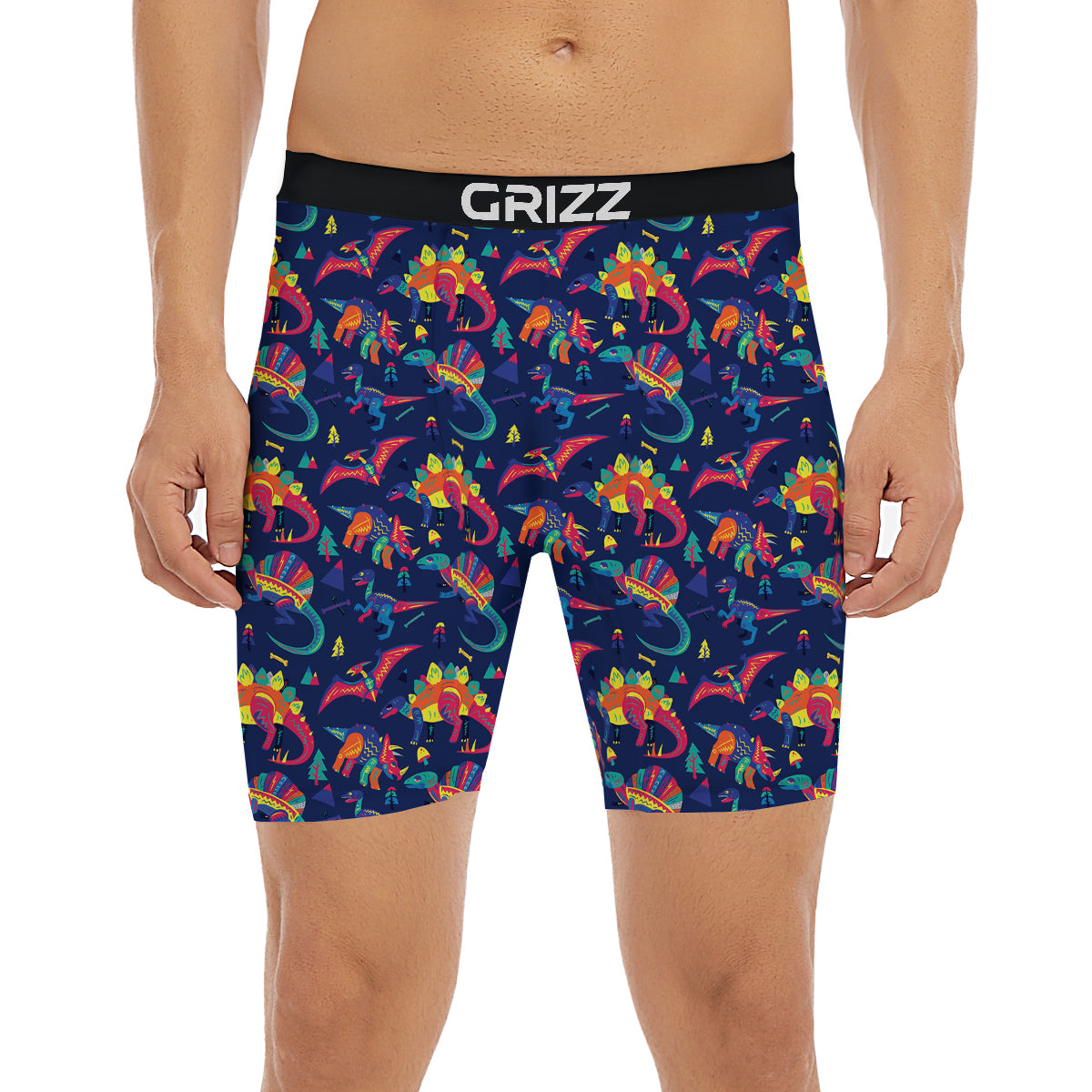 Dinosaurs Cute Colorful Print Pattern Boxer Briefs-grizzshop