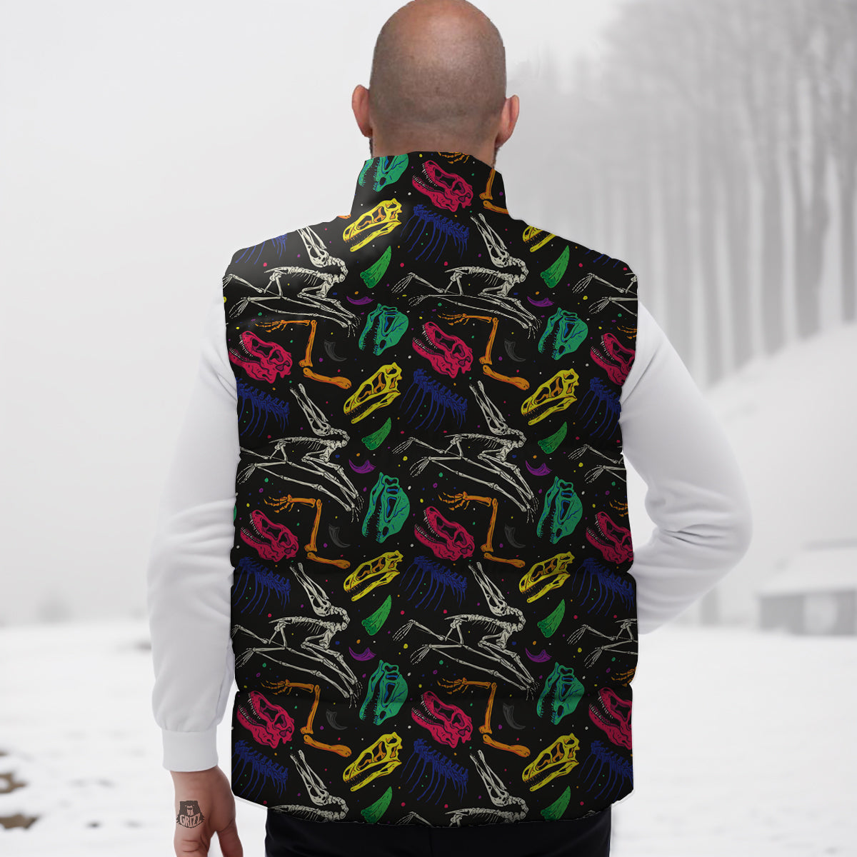 Dinosaurs Fossil Colorful Print Pattern Down Vest