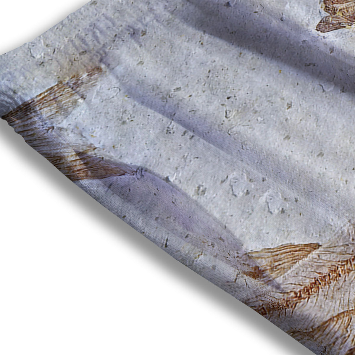 Fish Fossil Lycoptera Print Mesh Shorts