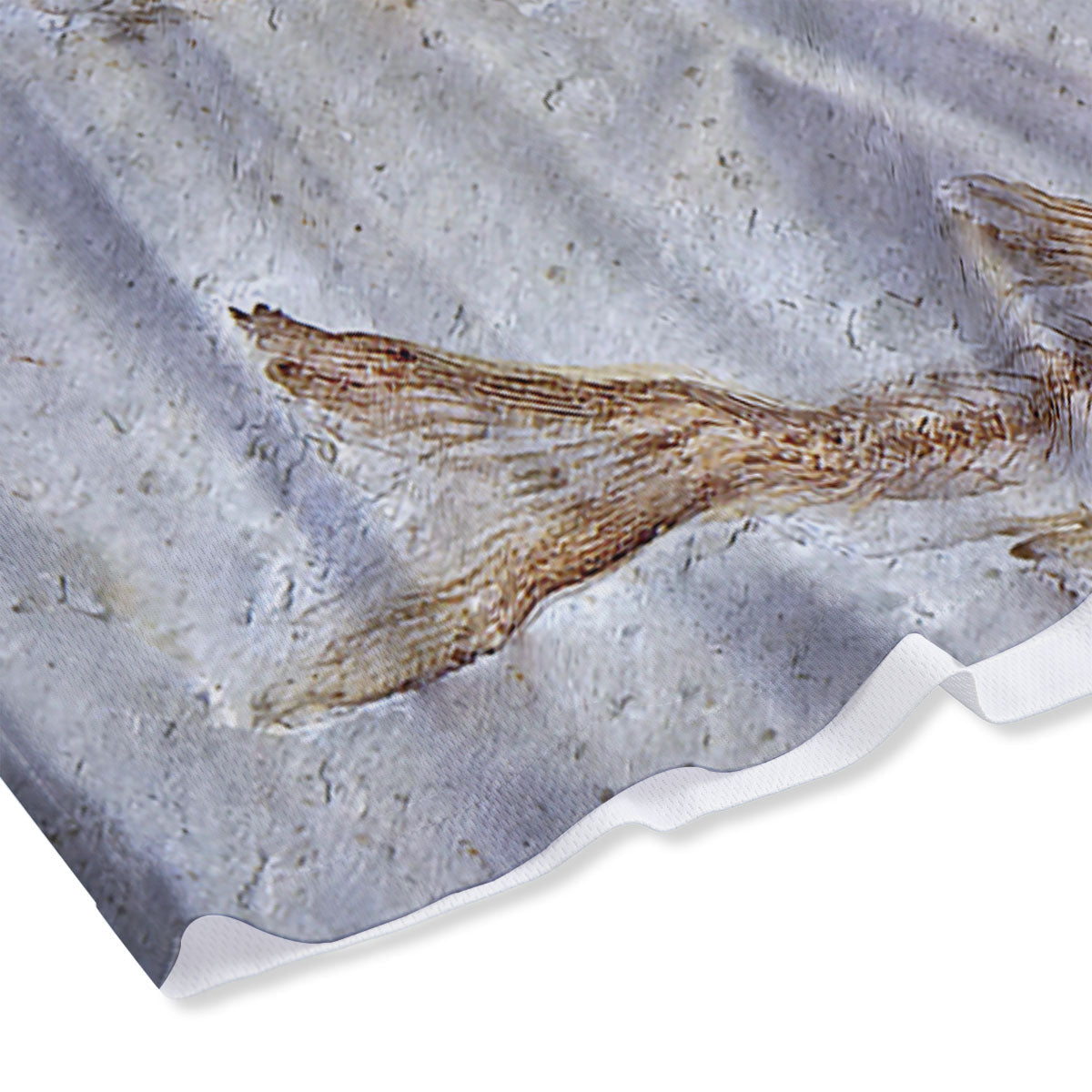Fish Fossil Lycoptera Print Mesh Shorts