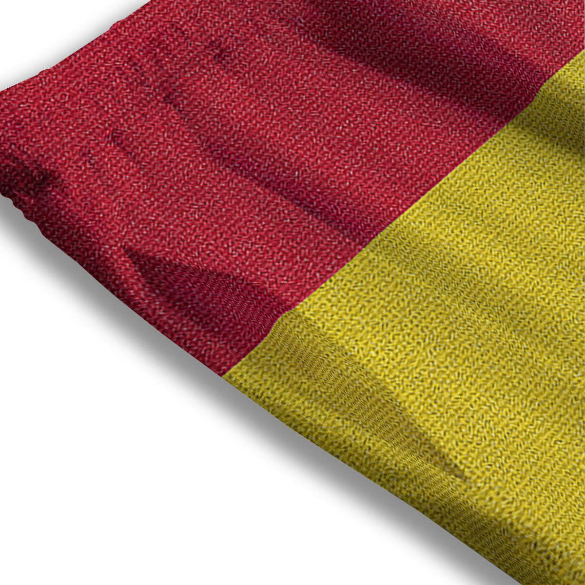 Flag Rasta Print Mesh Shorts