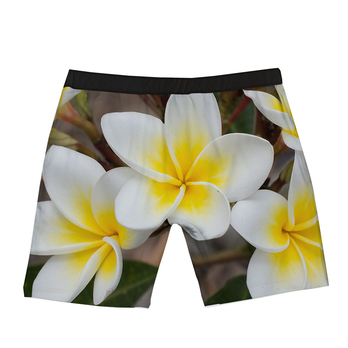 Flower Frangipani Print Boxer Briefs-grizzshop