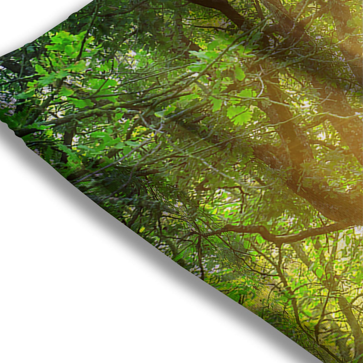 Forest Sunrise Print Mesh Shorts
