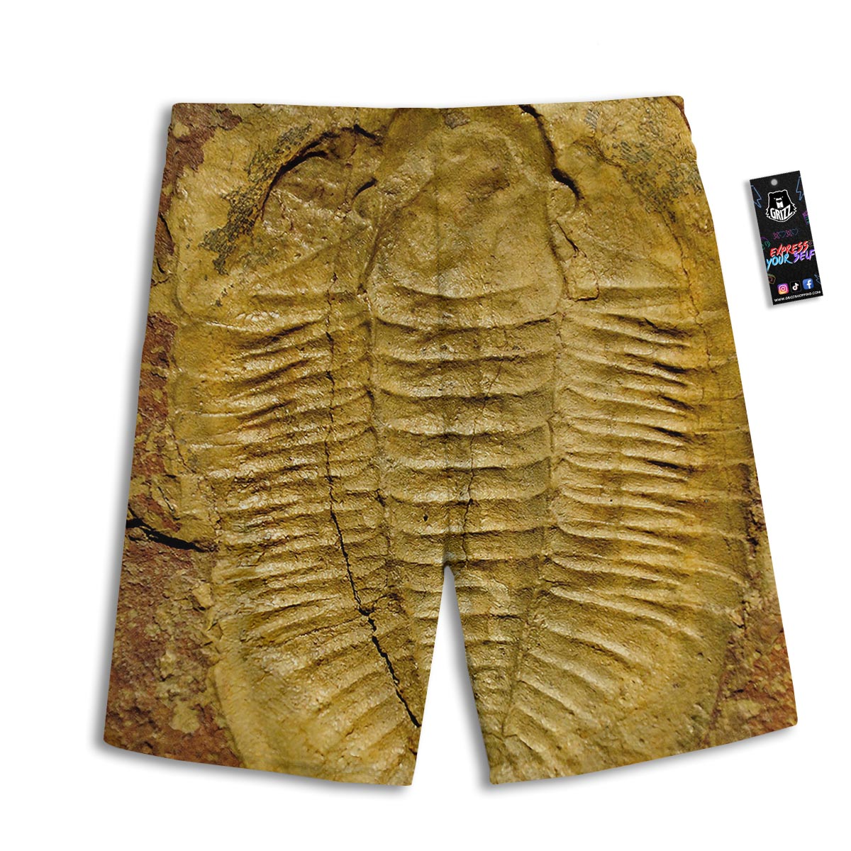Fossil Trilobite Print Men's Athletic Shorts