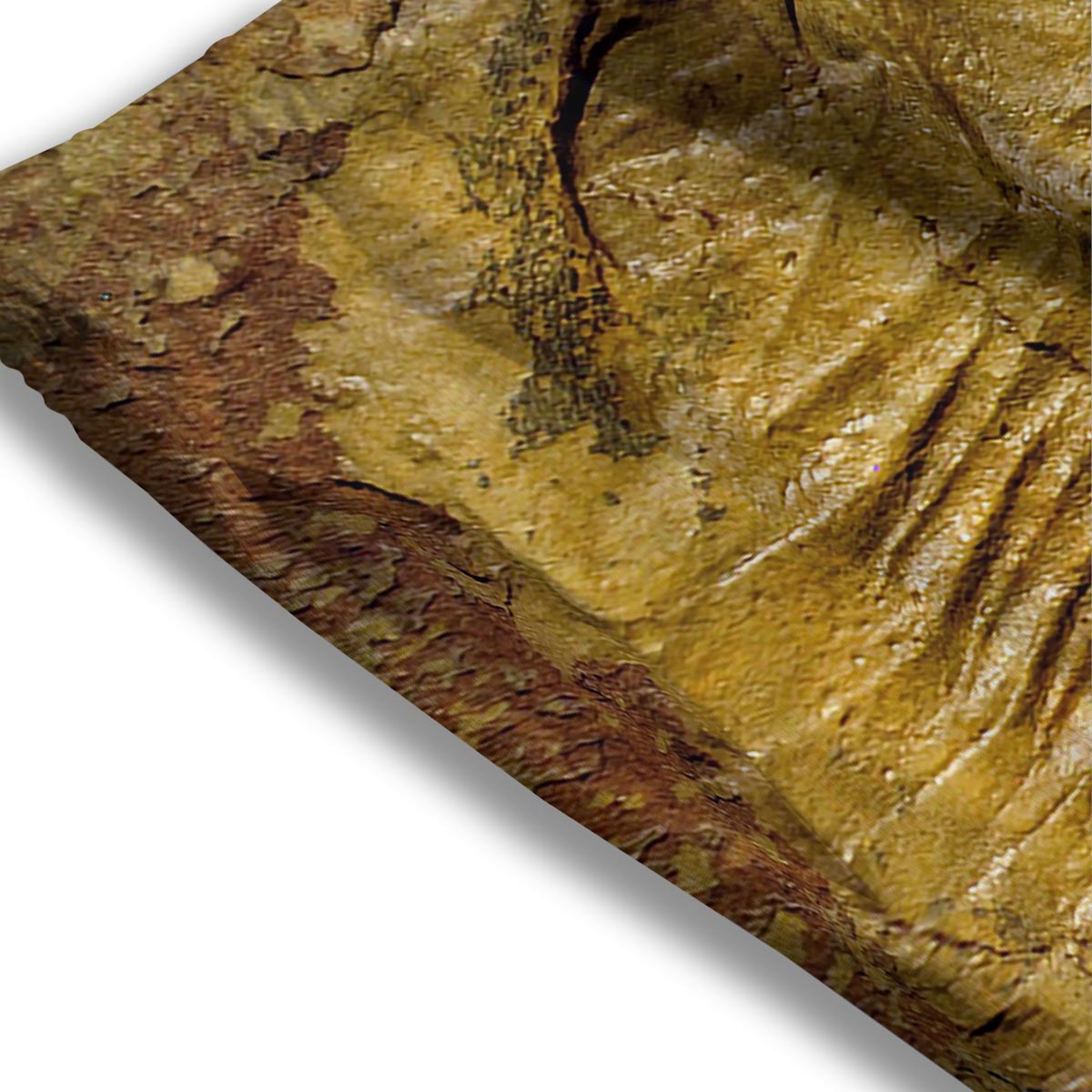 Fossil Trilobite Print Mesh Shorts