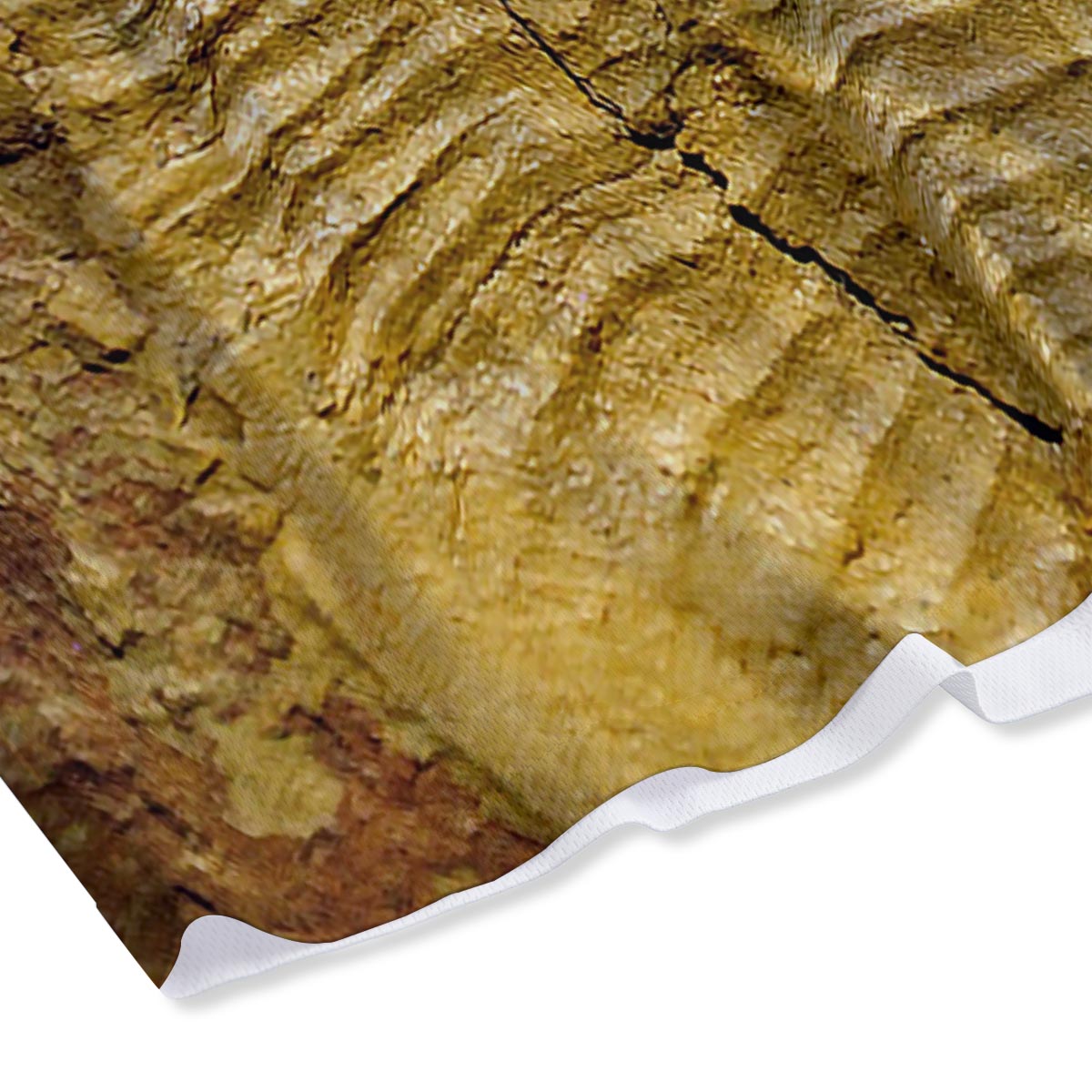Fossil Trilobite Print Mesh Shorts