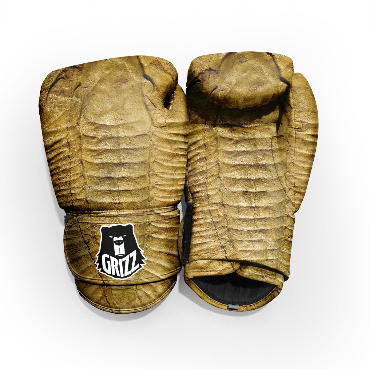 Fossil Trilobite Print Pro Boxing Glove