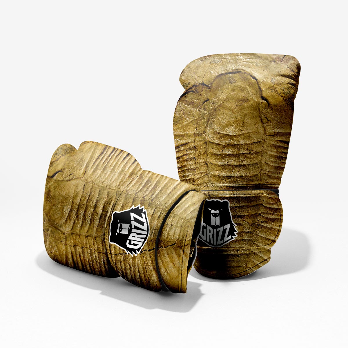 Fossil Trilobite Print Pro Boxing Glove