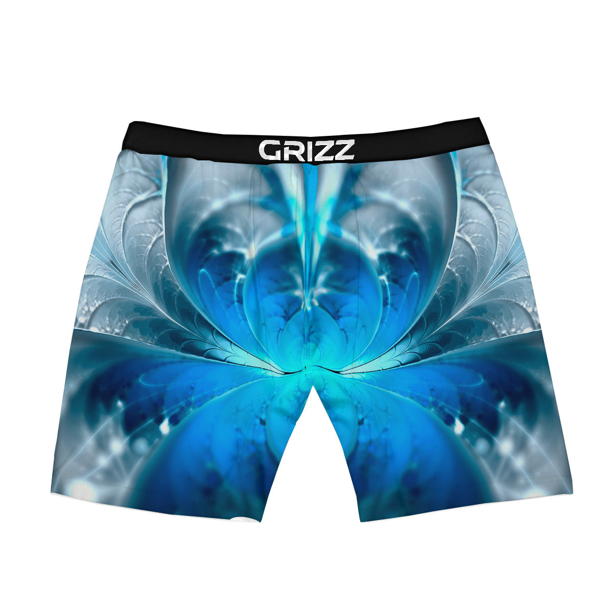 Fractal Blue Print Boxer Briefs-grizzshop