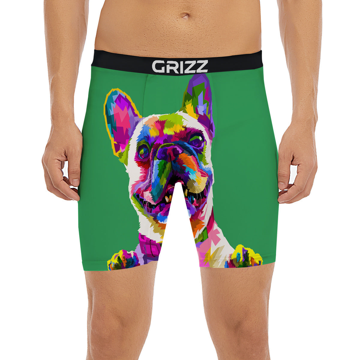 French Bulldog Coloful Print Boxer Briefs-grizzshop
