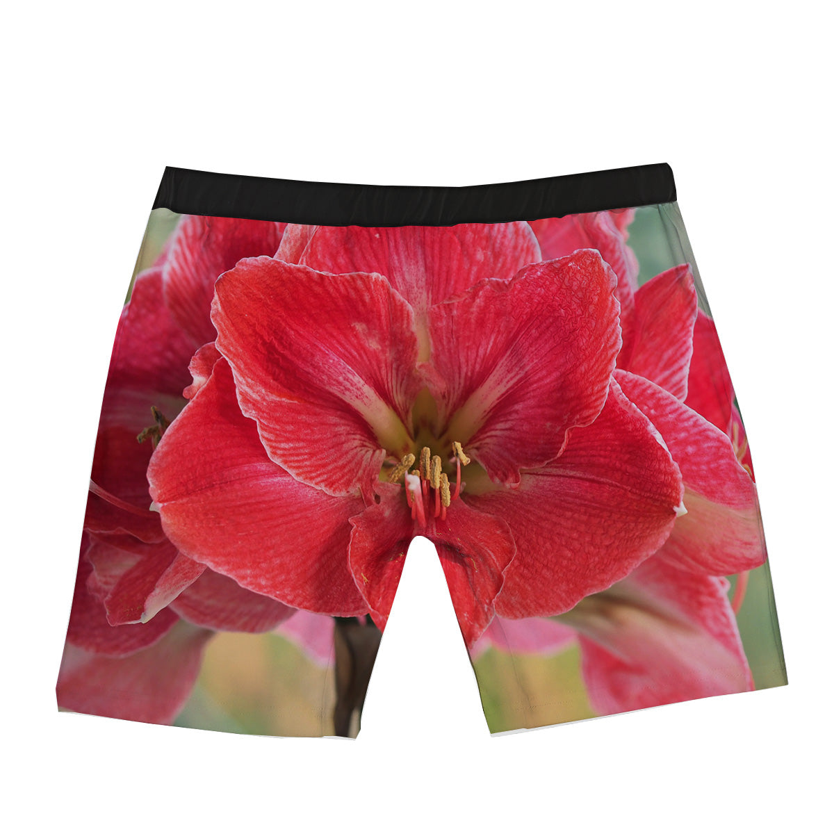 Fresh Amaryllis Print Boxer Briefs-grizzshop