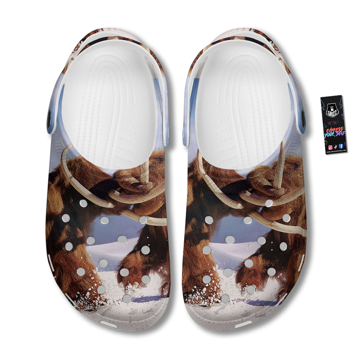 Frozen Mammoth Print Clog-grizzshop