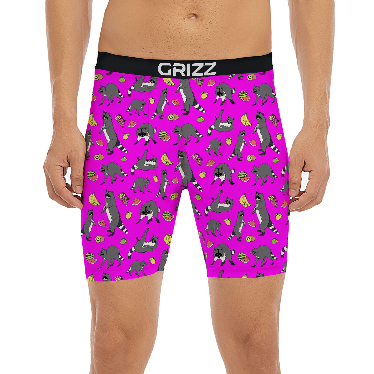 Fruit And Raccoon Print Pattern Boxer Briefs-grizzshop