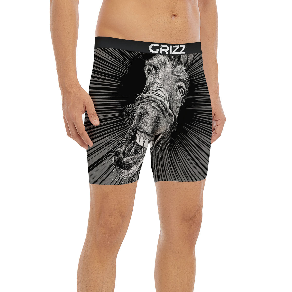 Funny Donkey White And Black Print Boxer Briefs-grizzshop