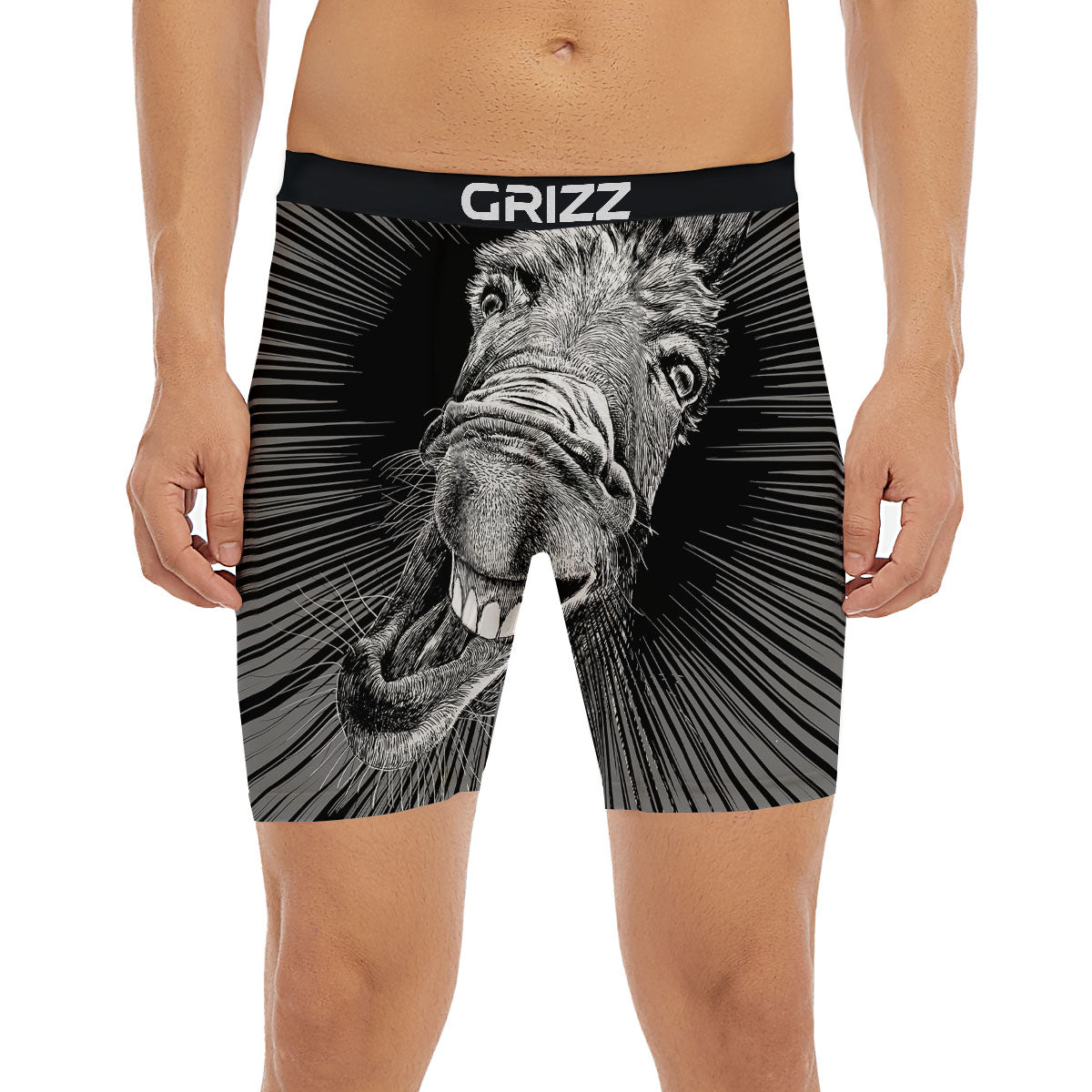 Funny Donkey White And Black Print Boxer Briefs-grizzshop