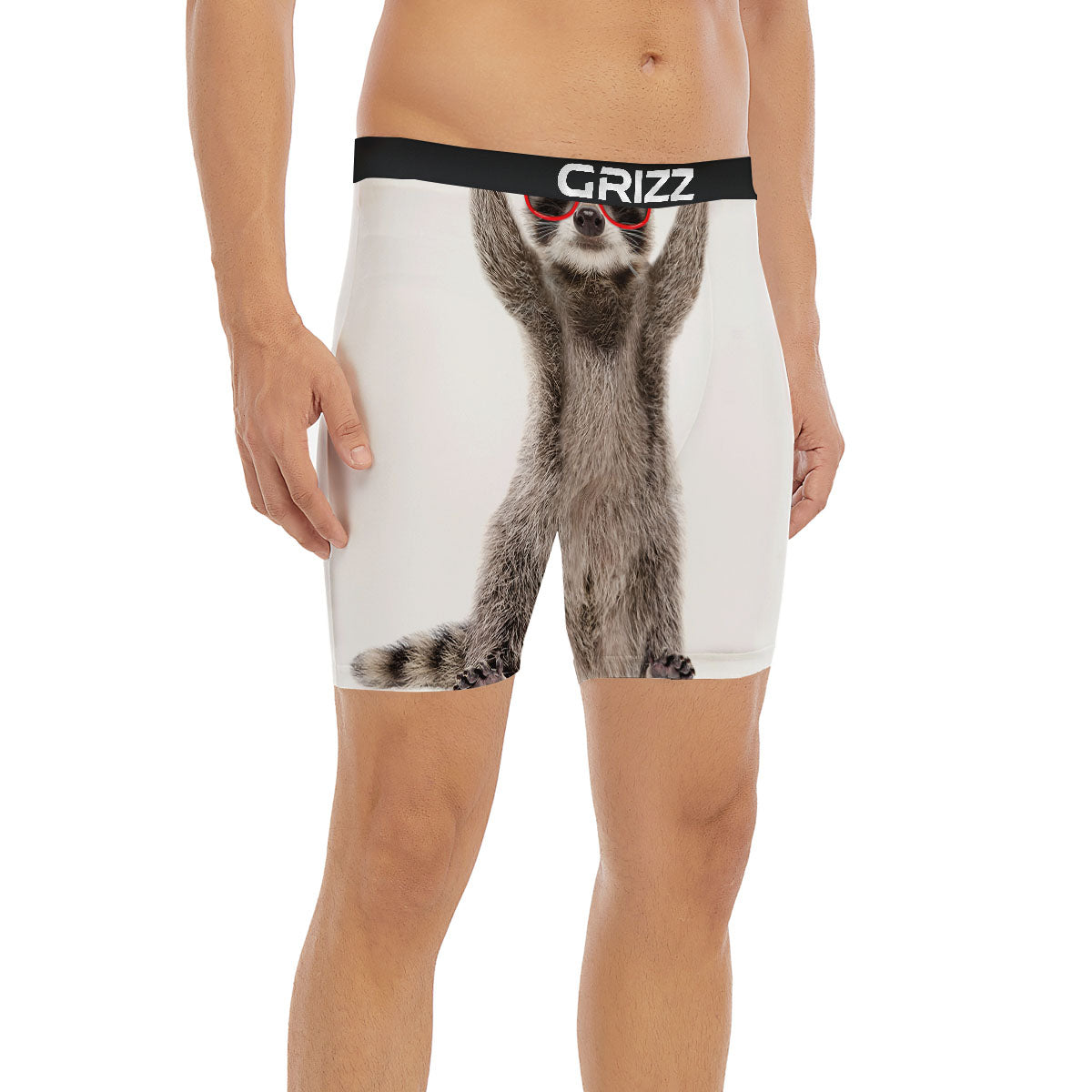 Funny Raccoon Print Boxer Briefs-grizzshop