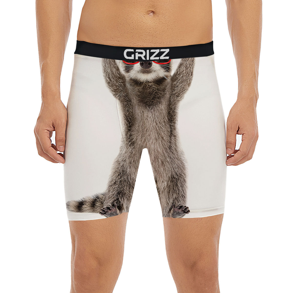 Funny Raccoon Print Boxer Briefs-grizzshop