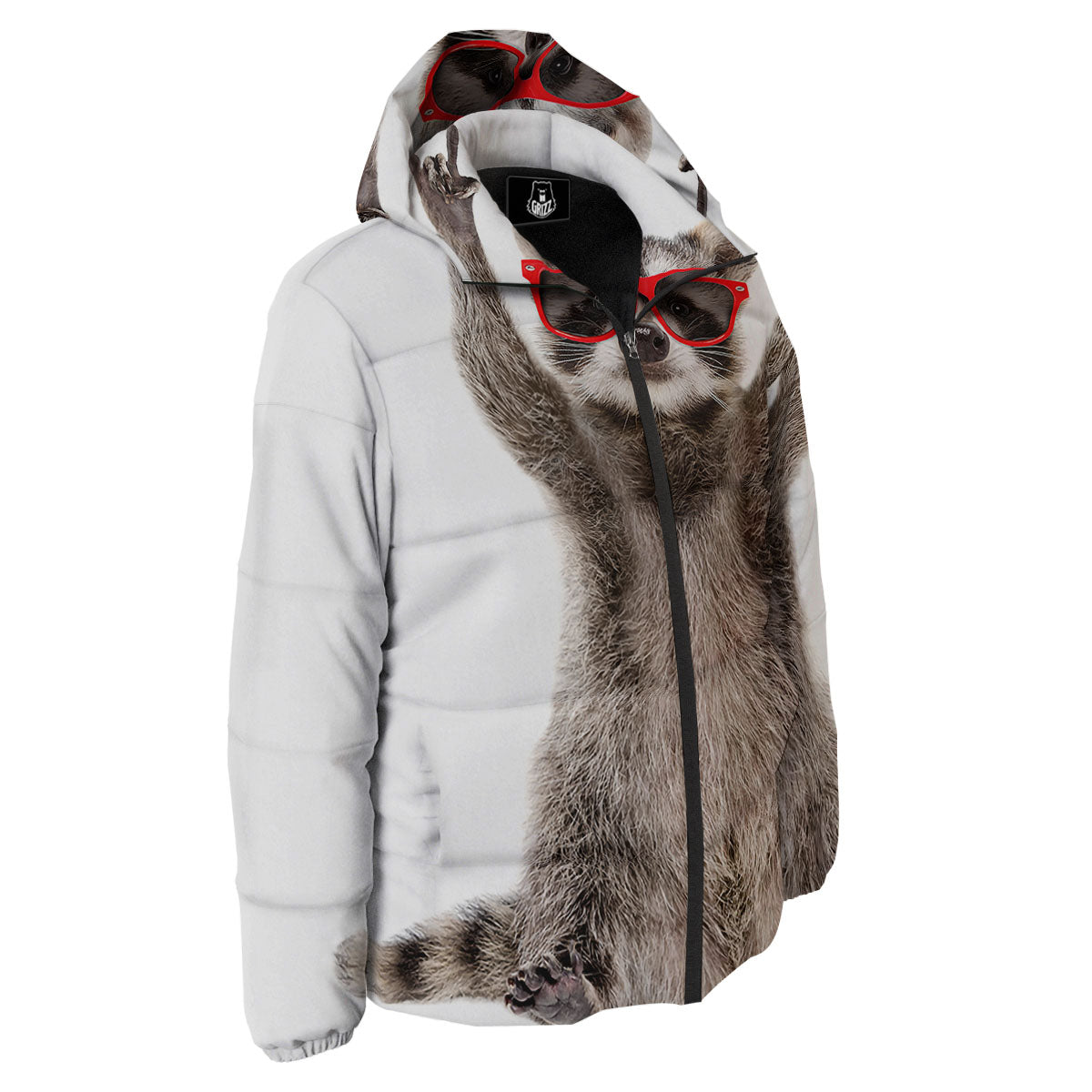 Funny Raccoon Print Down Jacket-grizzshop