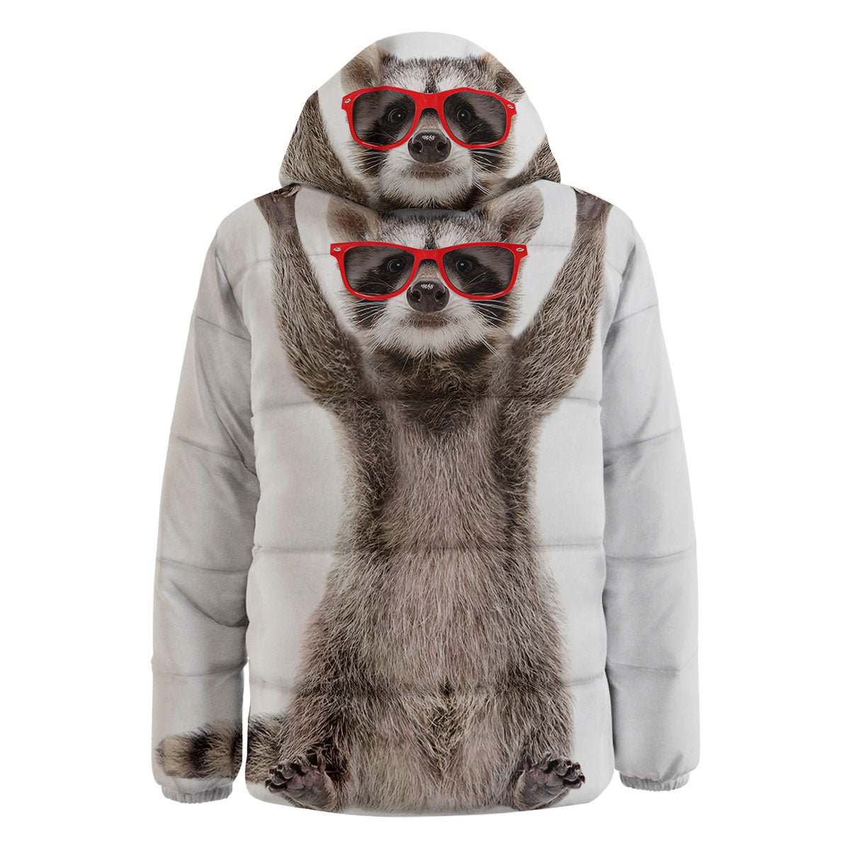Funny Raccoon Print Down Jacket-grizzshop