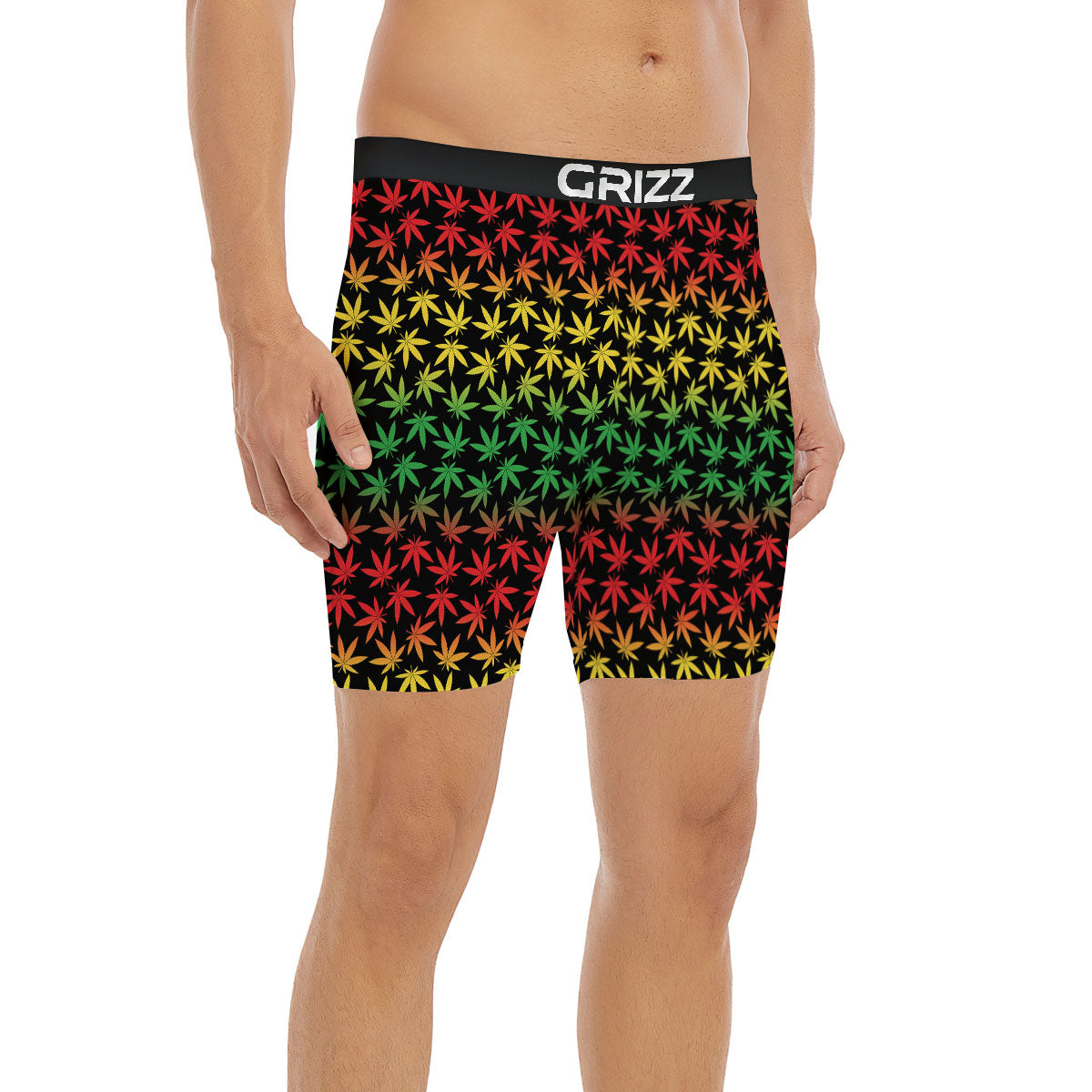 Hemp Rastafarian Print Pattern Boxer Briefs-grizzshop