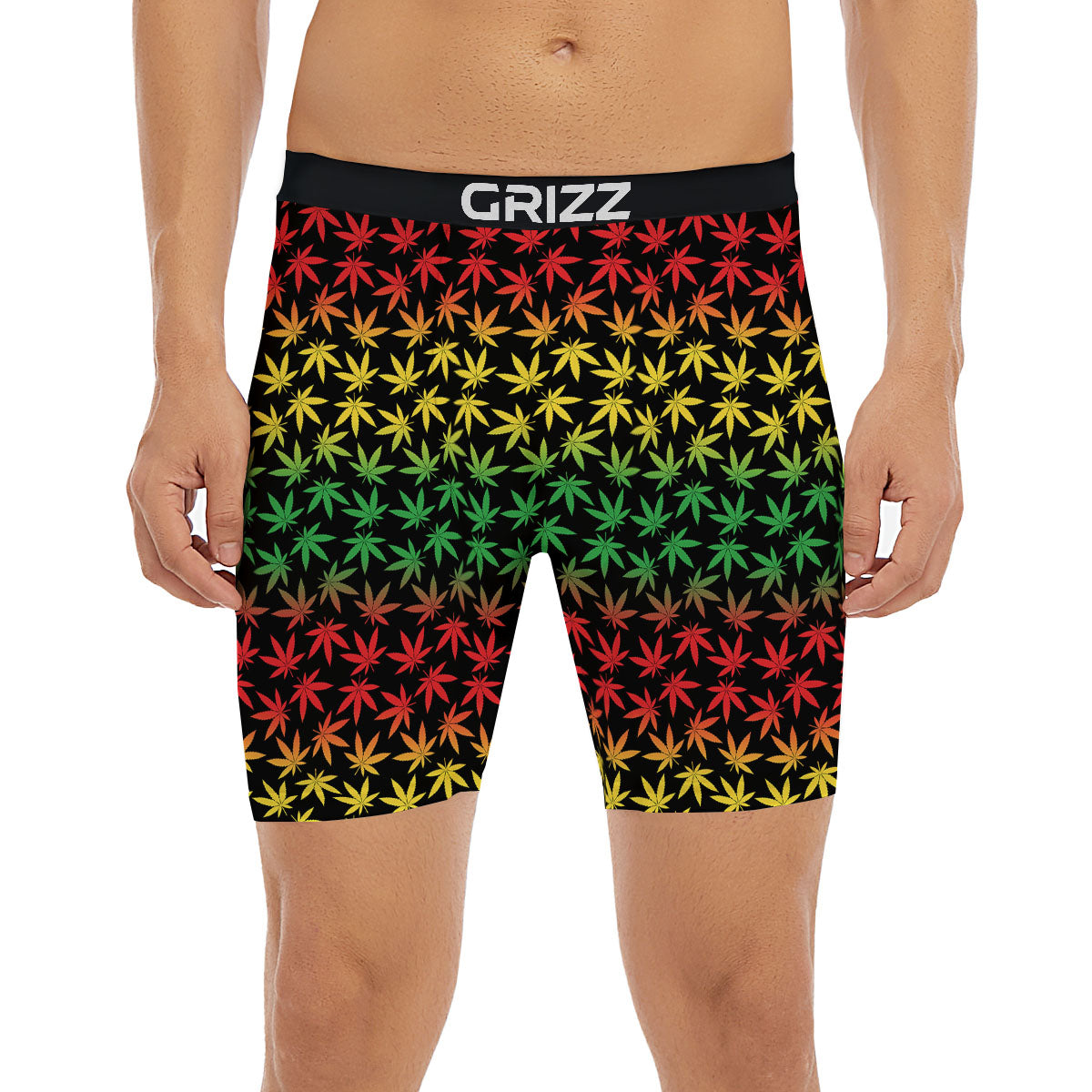 Hemp Rastafarian Print Pattern Boxer Briefs-grizzshop