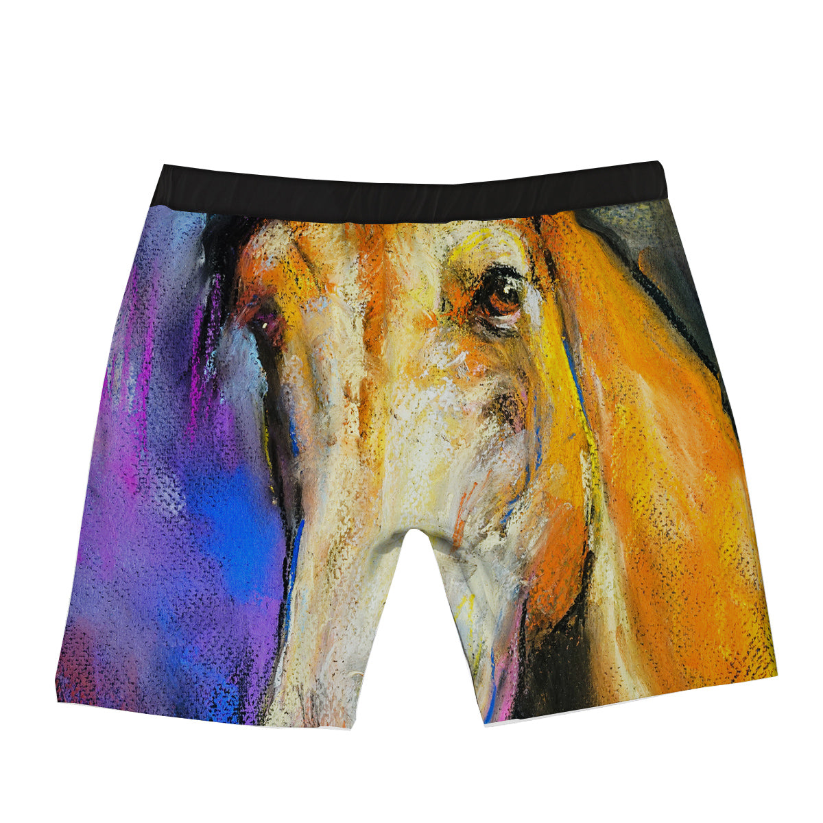 Horse Painting Colorful Print Boxer Briefs-grizzshop