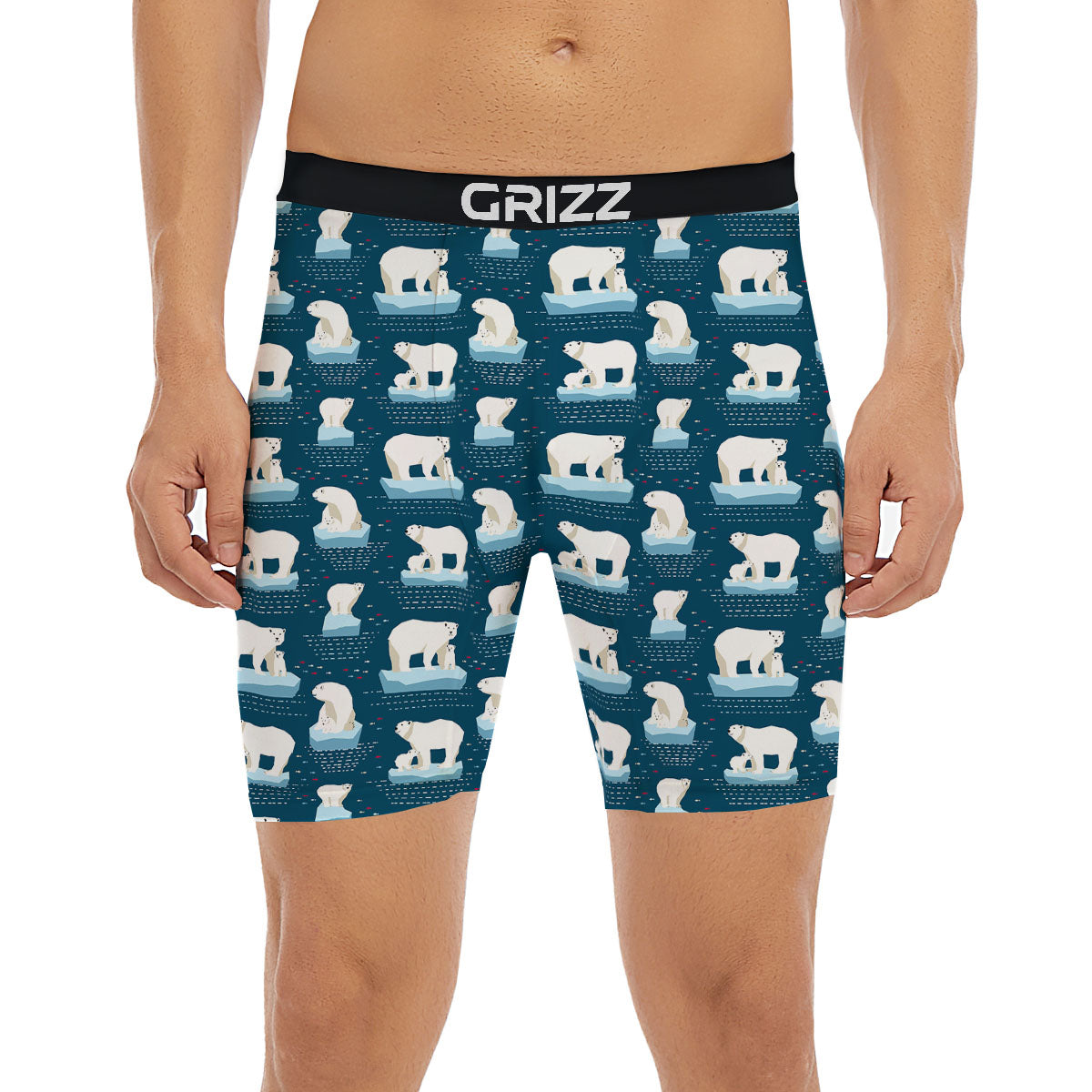 Ice Polar Bear Print Pattern Boxer Briefs-grizzshop
