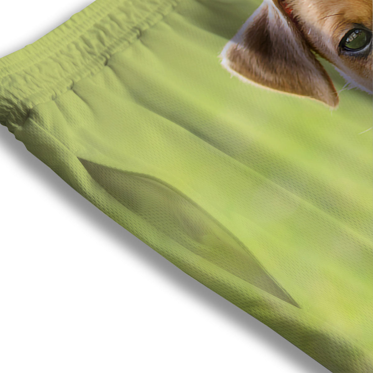 Jack Russell Terrier Little Print Mesh Shorts