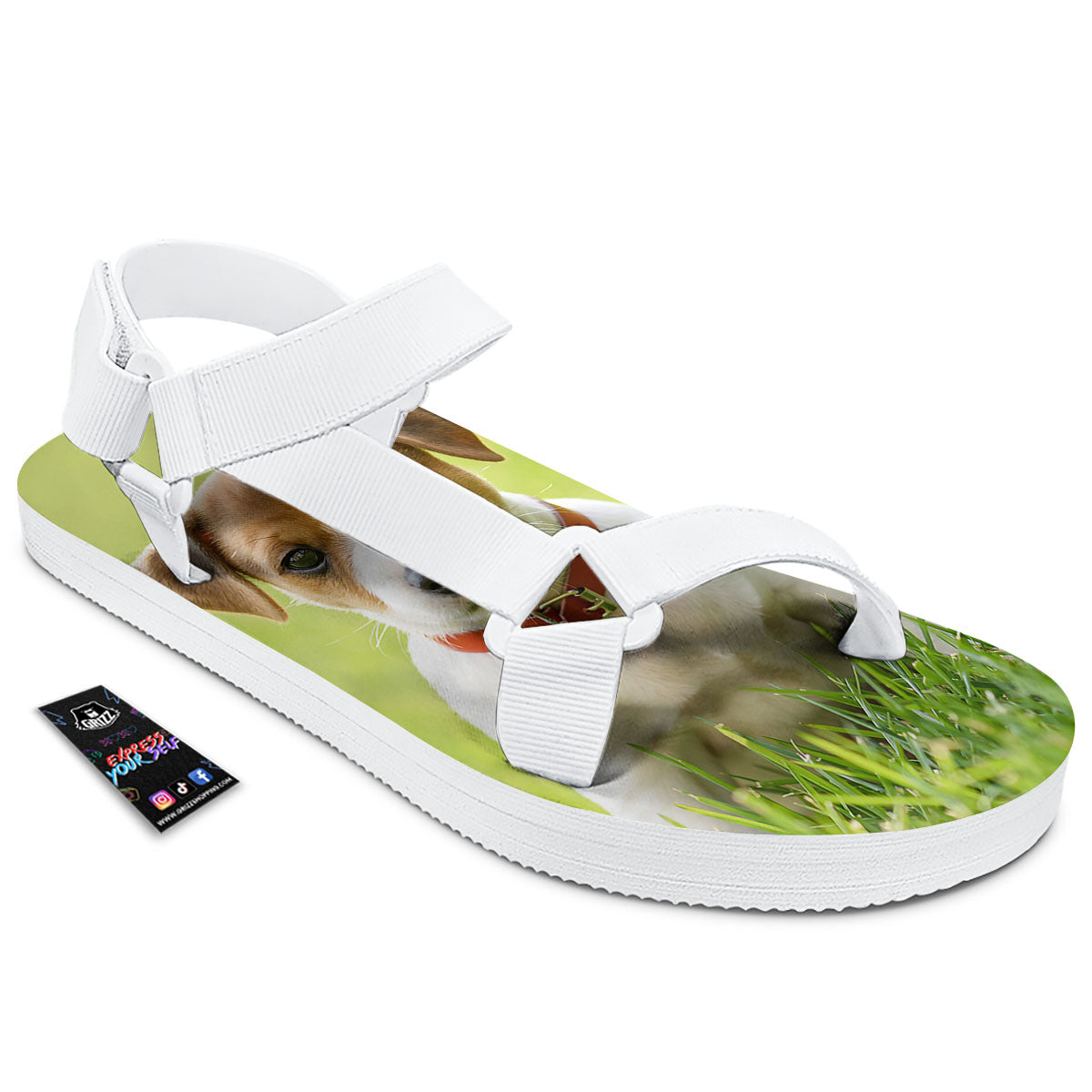 Jack Russell Terrier Little Print White Open Toe Sandals-grizzshop