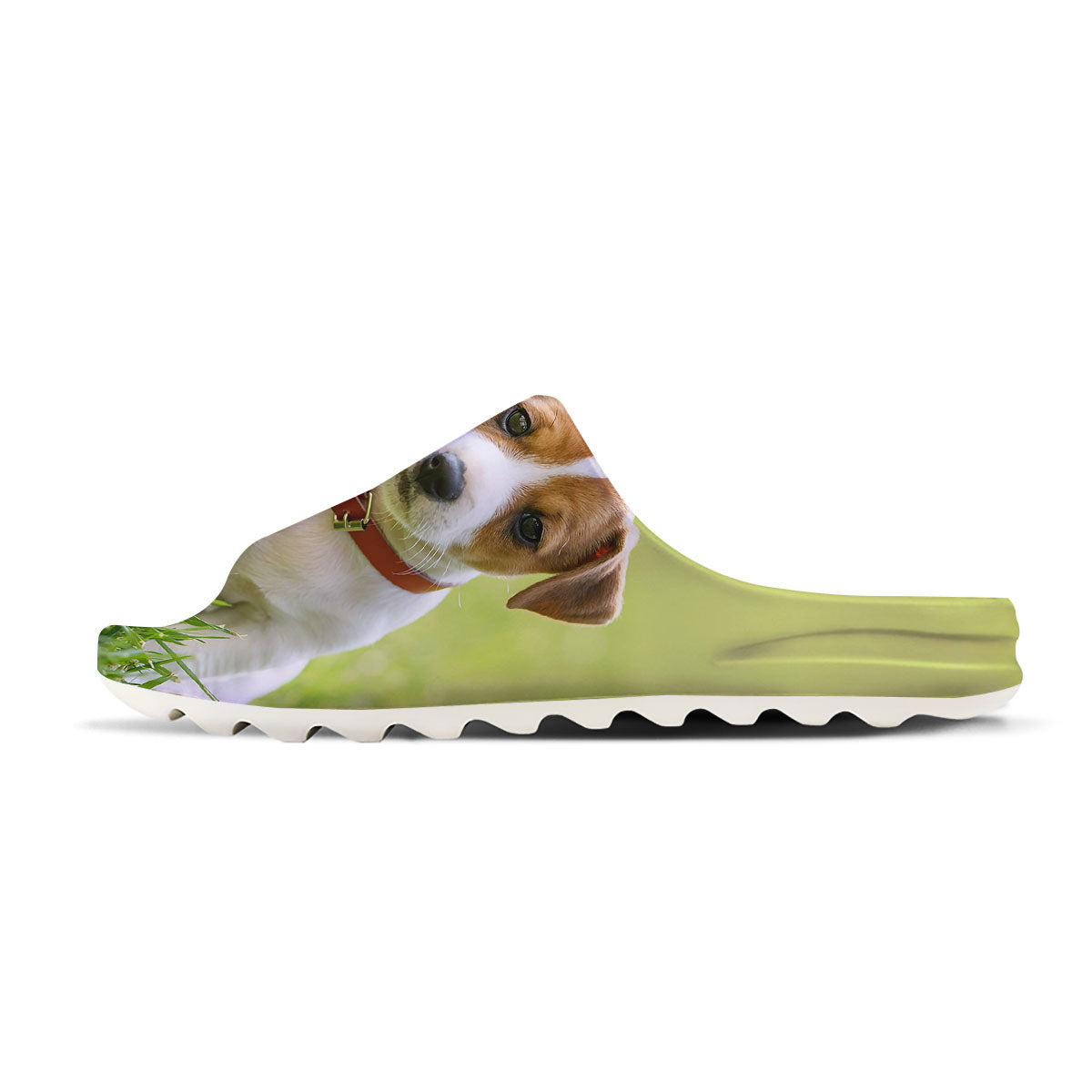 Jack Russell Terrier Little Print Sandals-grizzshop