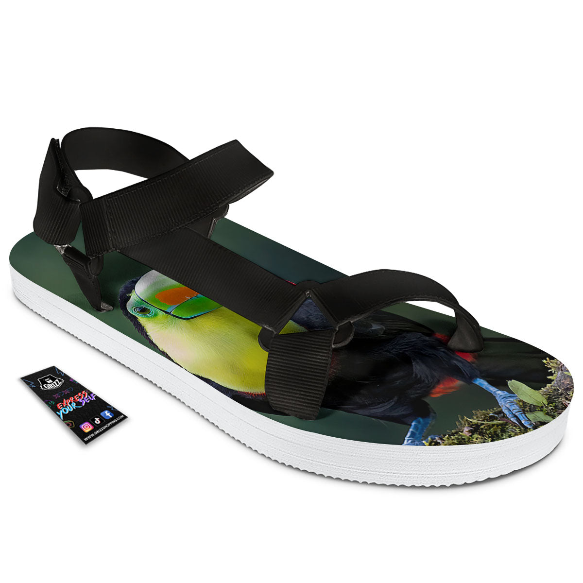 Keel-Billed Toucan Print Black Open Toe Sandals-grizzshop